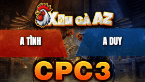 Trận 21 Bồ CPC3 26/4/2026 - Đỏ Canh Chặn Tốt Đâm Xanh Bể Mình