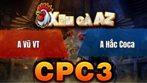 Trận 25 Bồ CPC3 27/4/2026