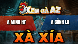 Trận 25 Bồ Xà Xía 24/4/2026 - Xanh Nạp Vài Chân Đỏ Hư Giò Hết Đứng