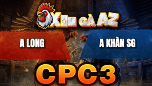 Trận 28 Bồ CPC3 25/4/2026 - Gà Đỏ Đâm Không Trượt Phát Nào Xanh Xì Khói