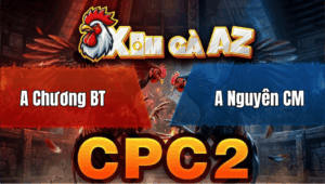 Trận 28 Bồ CPC2 25/4/2026