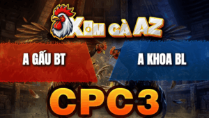 Trận 29 Bồ CPC3 26/4/2026 - Điều Chịu Cựa Tốt Phản Đòn Đâm Xanh Thua Ngược