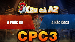 Trận 29 Bồ CPC3 27/4/2026