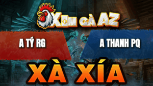 Trận 3 Bồ Xà Xía 28/4/2026 - Điều Đá Đòn Như Sấm Sét Bướm Té Sau Vài Chân Giao