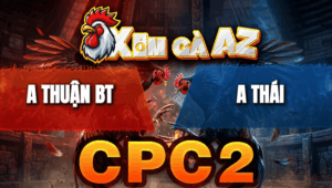 Trận 30 Bồ CPC2 27/4/2026 - Đỏ Đá Xanh Hư Xanh Đá Lại Cây Cả 2 Nằm