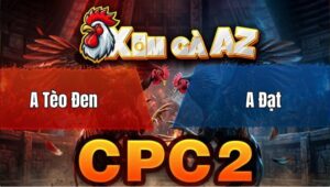 Trận 31 Bồ CPC2 29/4/2026