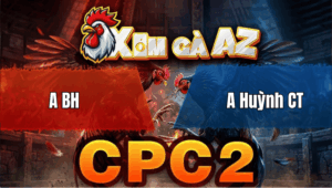 Trận 33 Bồ CPC2 25/4/2026