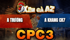 Trận 36 Bồ CPC3 23/4/2026 - Điều Cọp Đá Trúng Điểm Hạ Bướm Nhanh Gọn