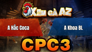 Trận 36 Bồ CPC3 27/4/2026