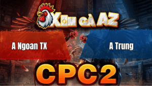 Trận 37 Bồ CPC2 26/4/2026