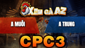 Trận 45 Bồ CPC3 23/4/2026 - Chuối Đâm Điều Hư Hình Buông Chạy