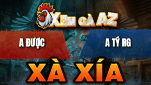 Trận 5 Bồ Xà Xía 29/4/2026 - Ăn Miếng Trả Miếng Kịch Tính Đến Phút 90