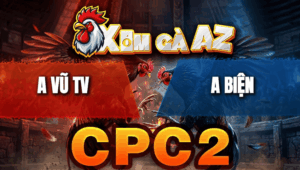 Trận 5 Bồ CPC2 27/4/2026 - Bướm Xanh Canh Chặn Tốt Đá Lại Cây Nghiệt Hạ Đỏ