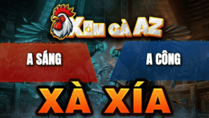 Trận 6 Bồ Xà Xía 29/4/2026 - Bướm Đâm Quá Đâm Hạ Úa Lẹ Làng