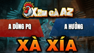 Trận 7 Bồ Xà Xía 28/4/2026 - Điều Cọp Đá Như Phát Xít Hạ Xanh Nhẹ Nhàng