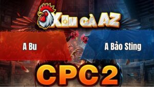 Trận 7 Bồ CPC2 29/4/2026