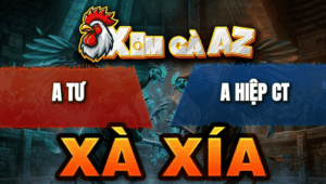 Trận 9 Bồ Xà Xía 28/4/2026 - Úa Dày Gà Đâm Cựa Nghiệt Hạ Xanh