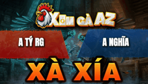 Trận 9 Bồ Xà Xía 29/4/2026 - Bướm Đá Tới Phút 90 Khét Sữa Té Tuyệt Đối