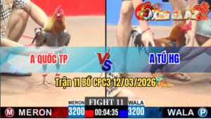 Trận 11 CPC3 19/04/2026 - Xám Tung Chân Quyết Định Điều Hết Đứng