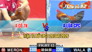 Trận 12 CPC3 20/04/2026 - Xanh Đâm Hư Giò Mà Đỏ Vẫn Trụ Hòa Cứu Chủ