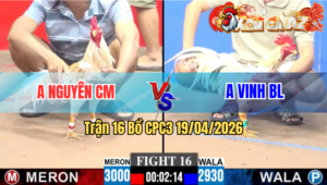 Trận 16 CPC3 19/04/2026 - Xanh Đâm Như Xôm Đỏ Nằm 1 Đống Sau 1 Tay Nước