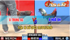 Trận 16 CPC3 20/04/2026 - Xanh Đâm Nhiều Chân Mà Bị Đỏ Đâm Hay Hơn Xin Đầu Hàng