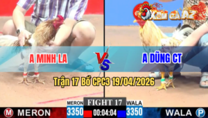 Trận 17 CPC3 19/04/2026 - Bướm Đâm Như Xôm Camelo Hư Hình Hết Cứu