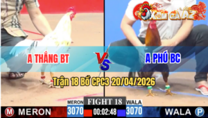 Trận 18 CPC3 20/04/2026 - Đỏ Bắn Súng Liên Thanh Xanh Nằm Im Chịu Đòn