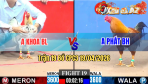 Trận 19 CPC3 19/04/2026 - Khét Quá Mạnh Buông Đuôi Bướm Bưng Ra Ngoài