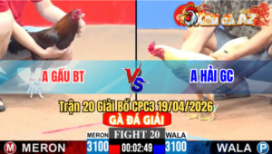 Trận 20 CPC3 19/04/2026 - Anh Gấu BT Mở Màn Thành Công