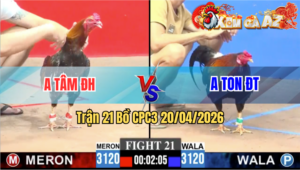 Trận 21 CPC3 20/04/2026 - Đỏ Dính Tang Ngã Ngửa Xụi Lơ Xin Đầu Hàng
