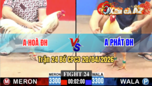 Trận 24 CPC3 20/04/2026 - Xanh Dính Cựa Quay Xe Chạy Phút Cuối