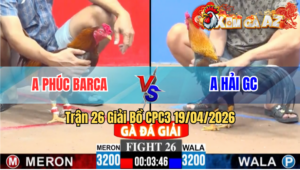 Trận 26 Giải CPC3 19/04/2026 - Khét Đi Bộ Cũng Đâm Que Nằm Liệt Hết Cứu