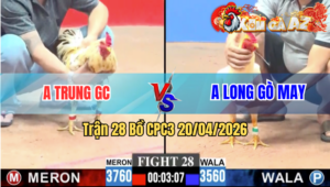 Trận 28 CPC3 20/04/2026 - Xanh Thủ Cứng Ép Đỏ Gục Ngã Đầu Hàng