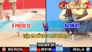 Trận 29 CPC3 20/04/2026 - Xanh Ngủ Gục Giữa Sân Bị Đỏ Đâm Không Thương Tiếc