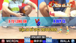 Trận 30 CPC3 20/04/2026 - Xanh Đâm Quá Đâm Bị Đỏ Dí Ngược Chỉ Biết Chạy
