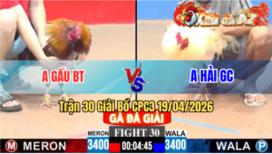 Trận 30 Giải CPC3 19/04/2026 - Bướm Giao Nạp Quá Hay Xám Hư Hình Hết Đứng