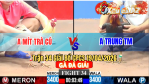 Trận 34 Giải CPC3 19/04/2026 - Điều Đâm Như Máy Bướm Ói Chết Sau 1 Tay Nước