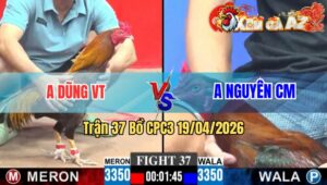 Trận 37 CPC3 19/04/2026 - Đỏ Đâm Như Xôn Xanh Nằm 1 Đống
