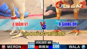 Trận 40 CPC3 19/04/2026 - Xanh Quá Tốc Độ Đá Đỏ Không Kịp Trở Mình Bưng Ra
