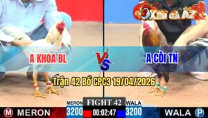 Trận 42 CPC3 19/04/2026 - Bướm Bóp Chân Mu Lưng Xám Kêu Miệng Hết Sữa