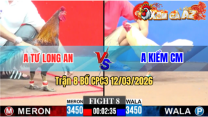 Trận 8 CPC3 19/04/2026 - Úa Quá Hay Nhưng Điều Rất Tiếc