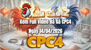 Xem Full Video Đá Gà CPC4 Ngày 14/04/2026