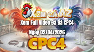 Xem Full Video Đá Gà CPC4 Ngày 02/04/2026