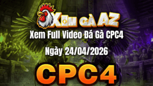 Xem Full Video Đá Gà CPC4 Ngày 24/04/2026