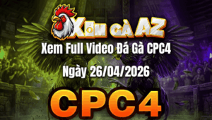 Xem Full Video Đá Gà CPC4 Ngày 26/04/2026