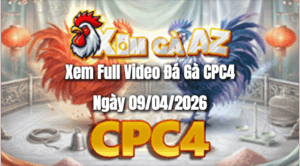 Xem Full Video Đá Gà CPC4 Ngày 09/04/2026