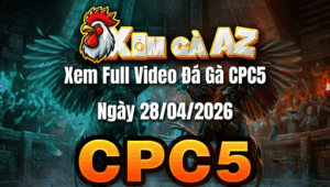 Xem Full Video Đá Gà CPC5 Ngày 28/04/2026