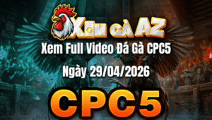 Xem Full Video Đá Gà CPC5 Ngày 29/04/2026