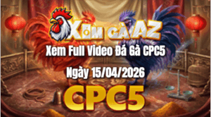 Xem Full Video Đá Gà CPC5 Ngày 15/04/2026